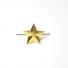 Звезда металлическая 20мм золотая с-351