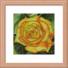 Желтая роза  ББ040