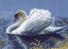Канва с рисунком "Лебедь-кликун"