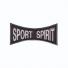 Термонаклейка "Sport spirit" 15561 10шт 10,1х4,8см